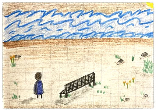 The River Analogy Life Coach Madison WI Caregiver Coach